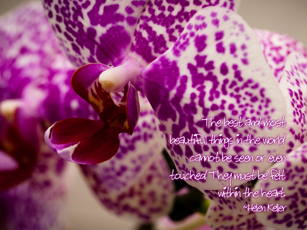 The best and most beautiful things in the world cannot be seen or even touched. They must be felt within the heart. ~Helen Keller