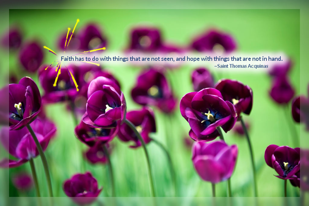Faith has to do with things that are not seen, and hope with things that are not in hand. ~Saint Thomas Acquinas